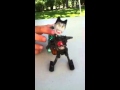 Funny Wind Up Toy