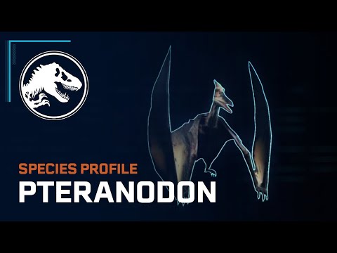 Species Profile - Pteranodon