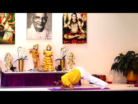 Yogastunde "Exakt" mit Ishwara Mittelstufe Yoga Vidya Grundreihe  09:15 Uhr 18.07.2020