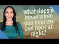What Does It Mean When You Hear An Owl Hoot At Night