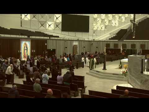 13/11/2023 | Thứ Hai Tuần XXXII Mùa Thường Niên | Trực Tuyến Từ Nhà Thờ Chánh Tòa Chúa Kitô