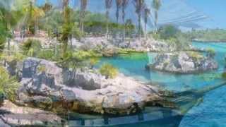 Aiko , Aiko --- Saragossa Band:)