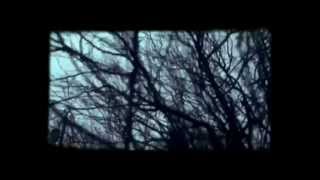 VOLTA MASTERS / Winter Radness Feat, PreciseHero + Rheason Love (promo)