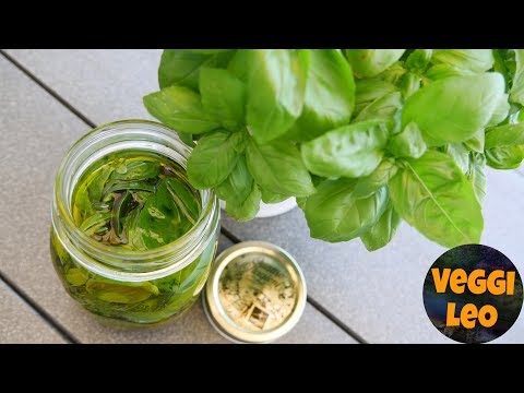 Basilikum richtig ernten und haltbar machen