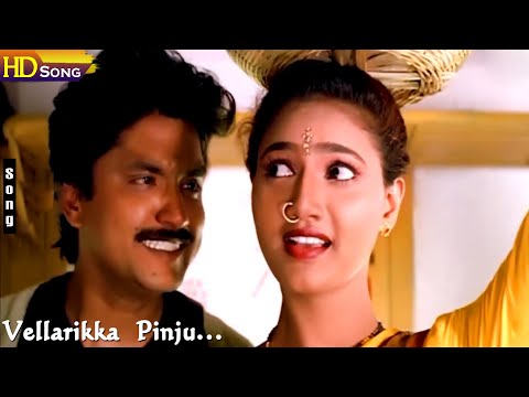 Vellarikka Pinju Vellarika HD - Deva | Ajith Kumar | Devayani | Kadhal Kottai 