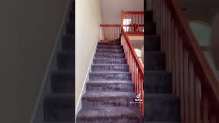 Amazing blonde hottie in bikini from tiktok