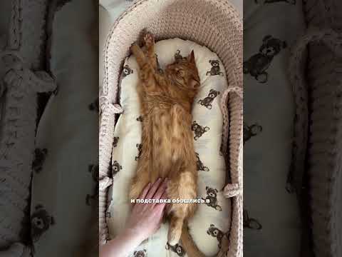 заметили, что ещё не все купили?