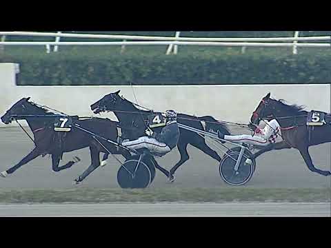 Napoli Trotto 12/02/2023 - 8ª corsa