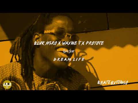 Blvk H3ro x Wayne J x Protoje Type  Beat -"Dream Life" | Melodic Dancehall Beat 2021