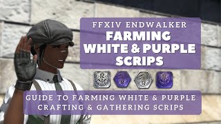 FFXIV Endwalker - Guide to Farming White and Purple Crafting and Gathering Scrips