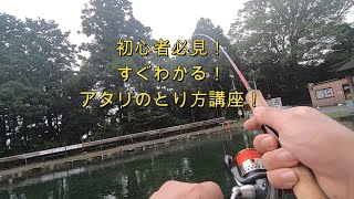 管釣り初心者向け！すぐわかるアワセかた講座