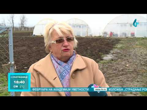 Pejićevi salaši meta lopova