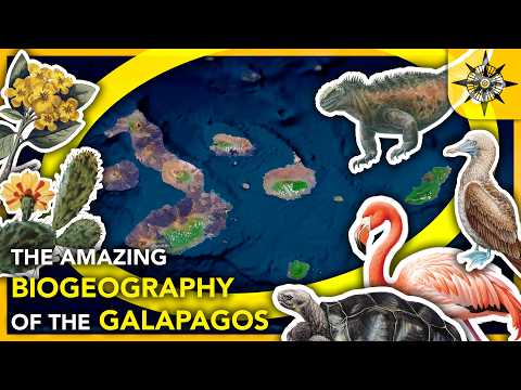 The Amazing Biogeography of the Galapagos