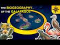 The Amazing Biogeography Of The Galapagos