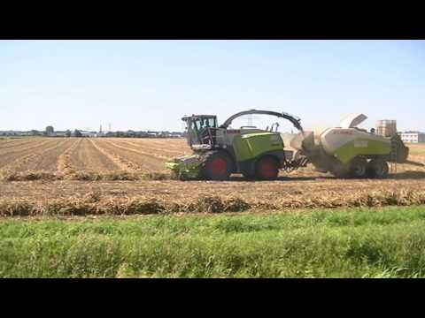 CLAAS JAGUAR 970 IN HEMP