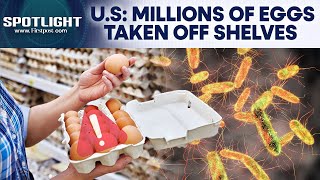 Over 6 Million Eggs Recalled In The US Over Salmonella Contamination Scare | Spotlight | N18G