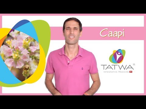 Videos from Tatwa Sàrl