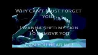 Bullet For My Valentine - Venom (Lyric video)