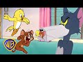 Tom Jerry All Play No Work Classic Cartoon Compilation WB Kids