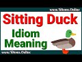 Sitting Duck Idiom Meaning