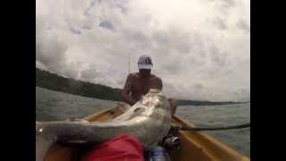 preview picture of video 'Roosterfish Montezuma Costa Rica'