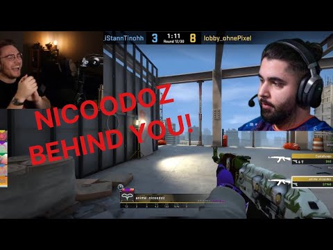 Ohne Trolls Nicoodoz on FaceIt