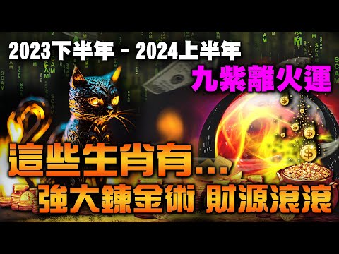 2023火年