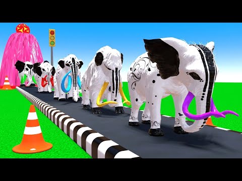 Animal Art Challenge Comparing Elephant Mammoth Sizes Through Creative Painting Obstacle Crossing