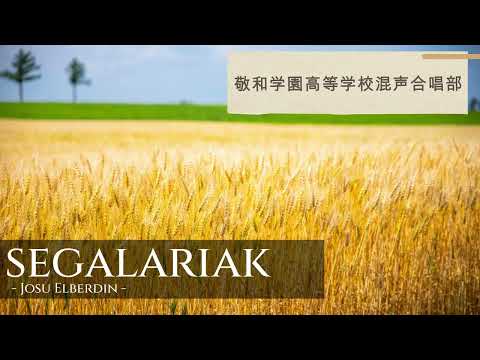 Segalariak - Josu Elberdin