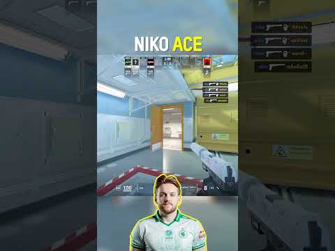 Niko USP-S Ace ☄️