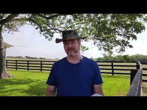 Matthew 18:15-20 - If Your Brother Sins Against You