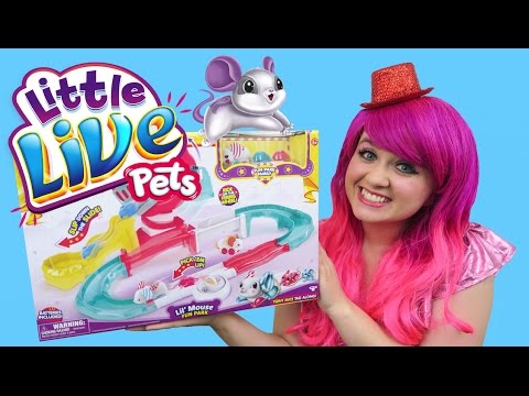 Little Live Pets Lil' Mouse Fun Park Trail | TOY REVIEW | KiMMi THE CLOWN Video