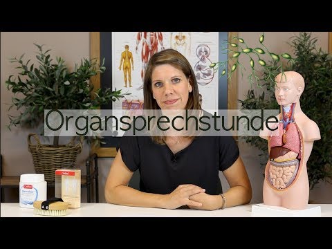 Was ist eigentlich das Lymphsystem?