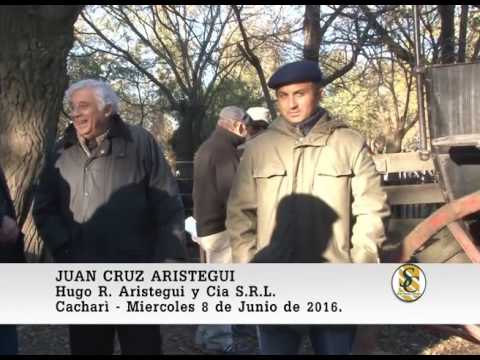 08-06-16 Nota Juan Cruz Aristegui - Hugo R. Aristegui y Cia S.R.L. - Cachari.