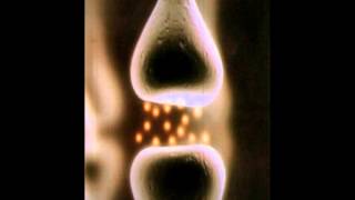 MENTAL VORTEX: I am now....Full album {Belgian Thrash/Death/Metal}