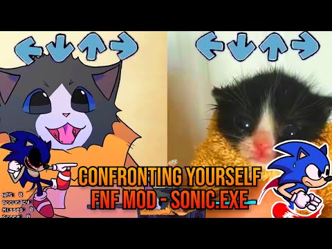 Confronting YOURSELF BUT Towel Cat VS ANIMATED TOWEL Cat? - FNF Animation - VS SONIC.EXE