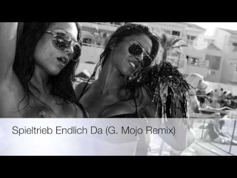 SpielTrieb - Endlich Da (G. Mojo Remix) [No Party No Life]