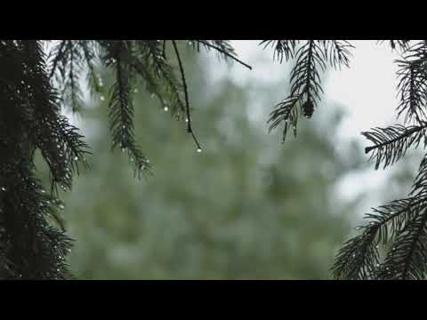 Bruit de pluie 6 h non stop HD détente parfaite