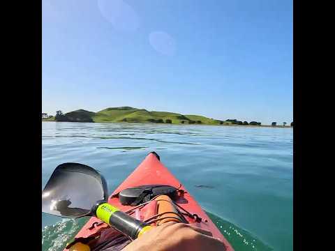 Beautiful volcano island #volcanoisland #seakayaking #naturelover #newzealand
