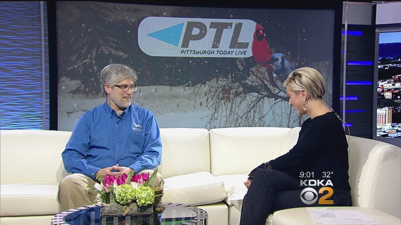 National Aviary Helps Identify Backyard Birds