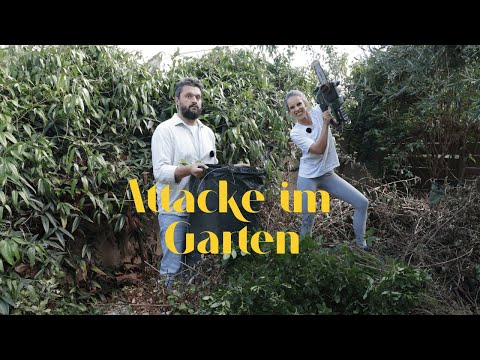 WE NEED PRIVACY! | Our French chaos garden is being redesigned! | Part 1: Climbing plants