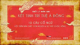 10 câu cổ ngữ kinh điển lột trần bản chất con người và sự thật cuộc sống |Cổ thư Tăng quảng hiền văn