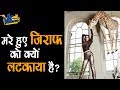 कृति सेनन की इस हरकत ने पशु प्रेमियों �