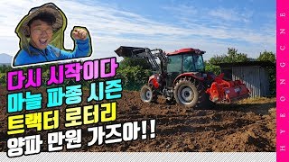 가을 농촌 트랙터 로터리 마늘 파종 시기 팜이즈