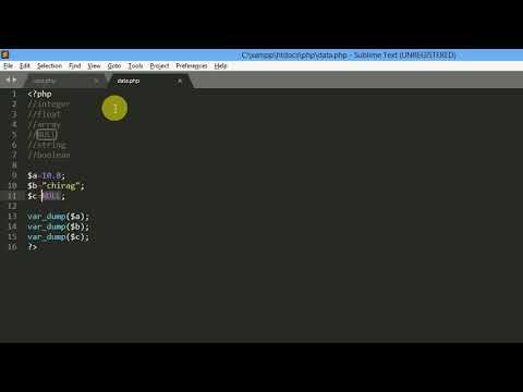 Php Data Types Var_dump Function In Php