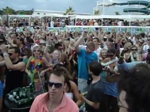 David Morales Papaya