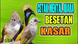Download lagu MASTERAN KASAR DAN ROLL TEMBAK KAPAS TEMBAK CUCAK ... mp3