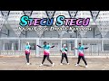 Dj Stecu Stecu Kalau Cocok Datang Kerumah TikTok Viral Dance Fitness Happy Role Creation