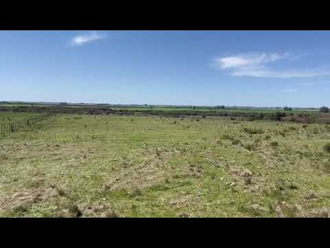 Video de YouTube - 19 Hectáreas sobre Ruta 39 | Campo Productivo con Potencial Residencial y de Inversión en Maldonado