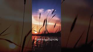 آية الكرسي _ الدوسري